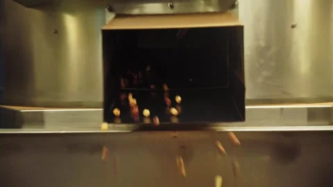 Roasted peanuts falling from an industrial processing machine inside a food Stock Footage 338159212