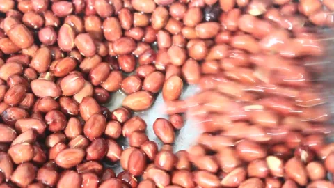 Roasted peanuts Stock Footage 301072483