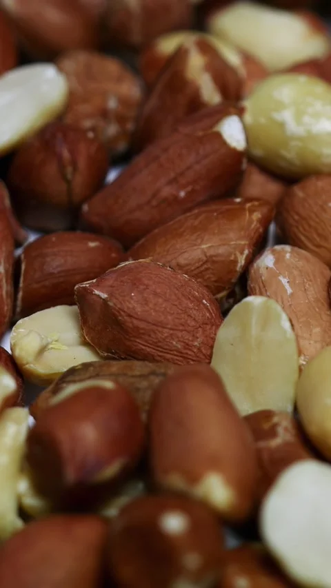 Roasted peanuts in the husk rotate in a circle close-up. Stock Footage 297859461