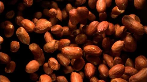Roasted peanuts in motion. Peanuts in the air. Stock Photos