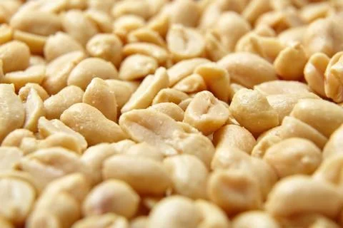 Roasted peanuts, salted snack Stock Photos