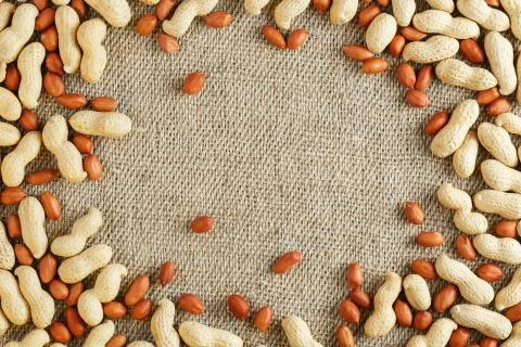 Roasted peanuts in a shell and peeled on a brown fabric background. Stock Photos