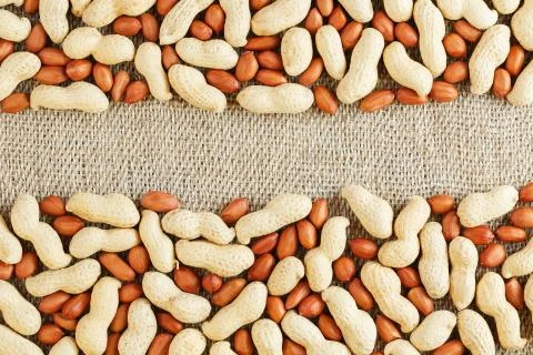 Roasted peanuts in a shell and peeled on a brown fabric background. Stock Photos