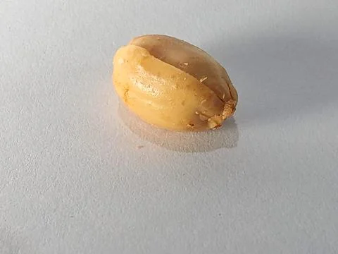 Roasted Peanuts in Shell and Shelled Kernels on White Background Foto stock