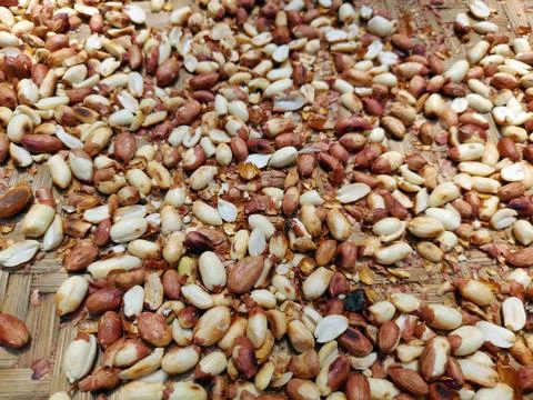 Roasted peanuts in the shell. Fried Nuts for a healthy diet and nutrition Фото