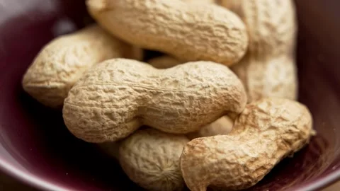 Roasted peanuts with shells in red bowl. Stock Footage 311810013