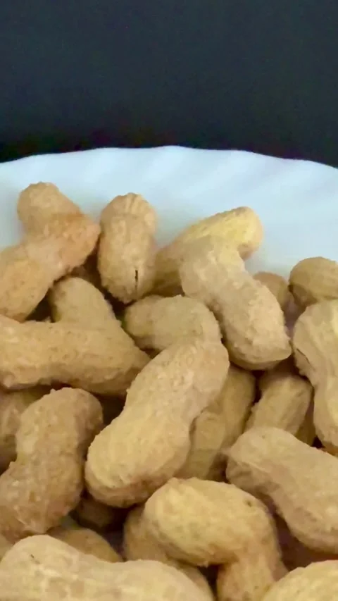Roasted peanuts in shells on a white plate bowl Video stock 331975765