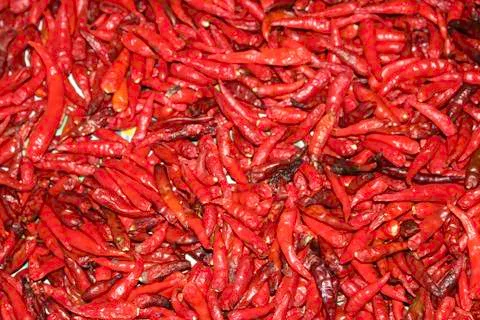 Roasted peppers Stock Photos