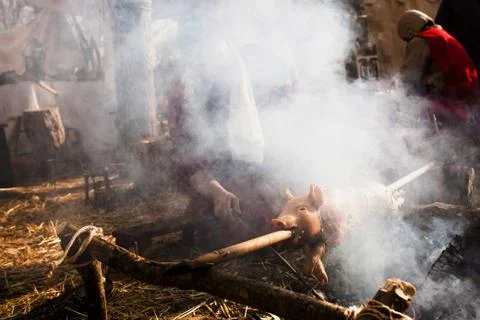 Roasted pig on the rack Stock Photos