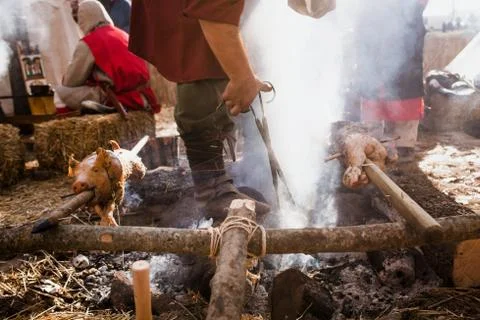 Roasted pig on the rack Stock Photos