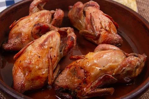 Roasted pigeon. Close-up. Stock Photos