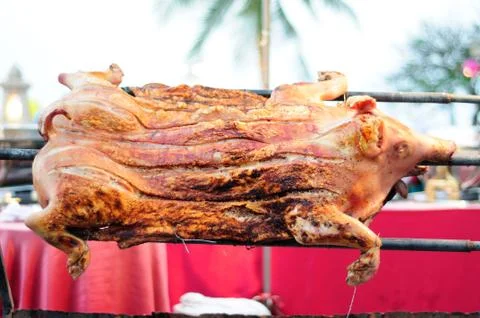Roasted Piglet Stock Photos