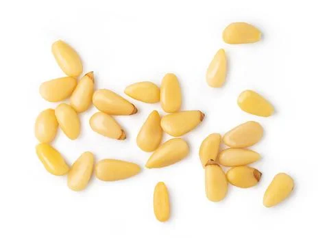 Roasted pine nuts Roasted pine nuts isolated on the white background Copyr... Foto stock