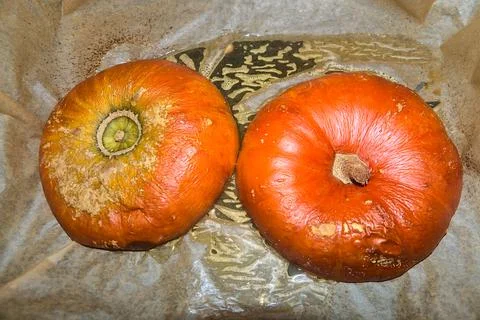 Roasted pumpkin halves cooked on baking paper in the oven Stock Photos