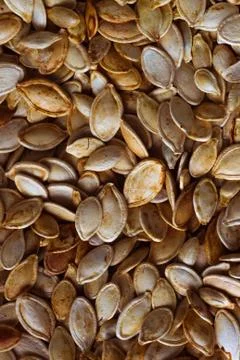 Roasted pumpkin seeds Foto stock