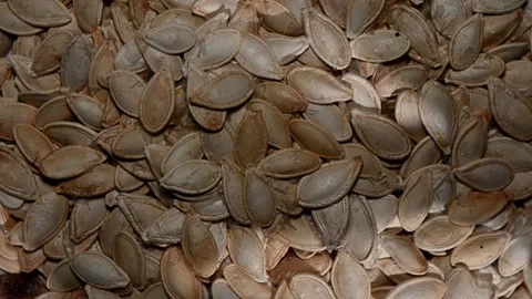 Roasted Pumpkin Seeds Spinning on Dark Surface. Top-Down Seamless Motion Loop Stock Footage 325740859