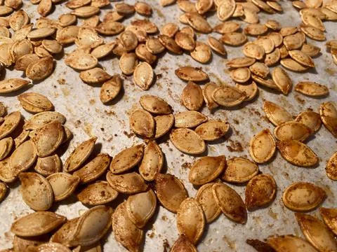 Roasted pumpkin seeds spread out on a baking sheet ready for cooling after .. Stock Photos