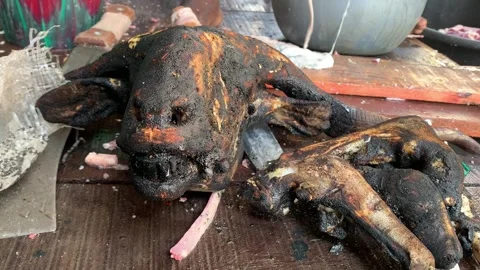 Roasted Ram Head Salah Stock Footage 310919387