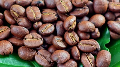 Roasted  robusta coffee beans, rotation. Stock Footage 304406347