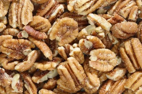 Roasted salted pecans Stock Photos