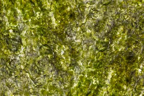 Roasted Seaweed Stock Photos