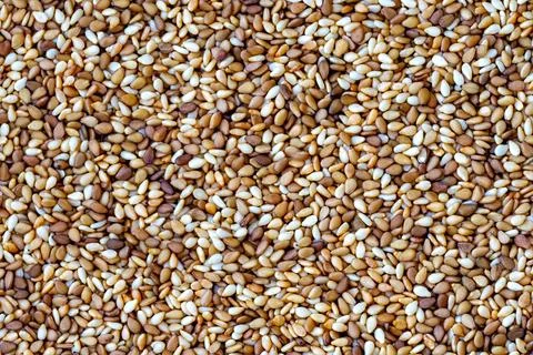 Roasted sesame close up Stock Photos
