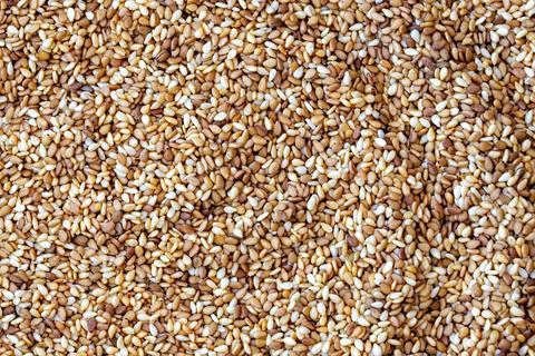 Roasted sesame close up Stock Photos