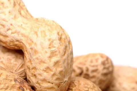 Roasted in-shell peanuts close-up. Stock Photos