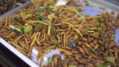 Roasted silk moth pupae at night food market, Chinatown Stock Footage 318524976