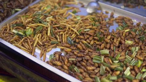 Roasted silk moth pupae at night food market, Chinatown Stock Footage 319886109