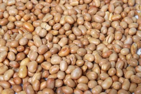 Roasted soya bean  nuts Stock Photos