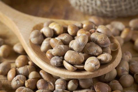 Roasted soybeans (soy nuts) 스톡 사진