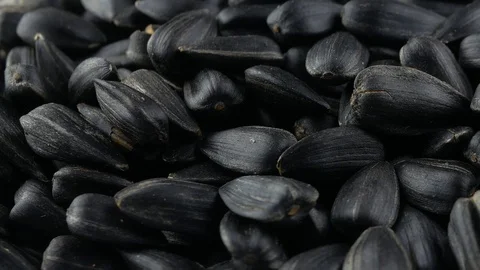 Roasted sunflower seeds texture background Stock Footage 102138311