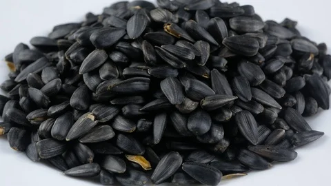 Roasted sunflower seeds texture background Stock Footage 102173054