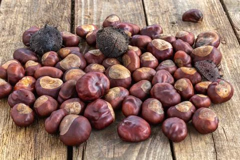 Roasted sweet chestnuts on grey rustic wooden table. Stock Photos