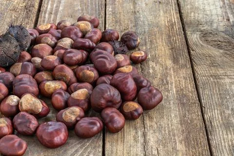 Roasted sweet chestnuts on grey rustic wooden table. Stock Photos