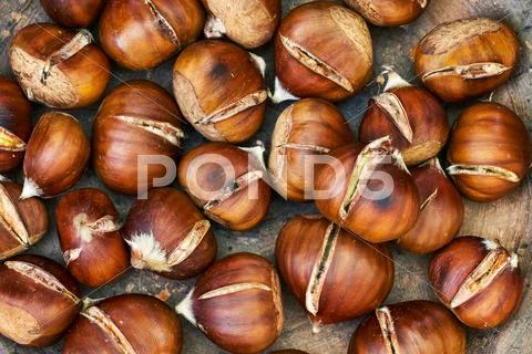 Roasted sweet chestnuts Stock Photos
