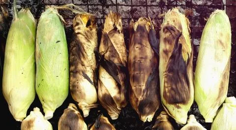 Roasted sweet corn on grill Stock Photos