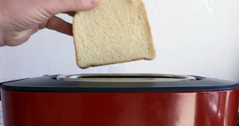 Roasted toast bread Stock Footage 95576299