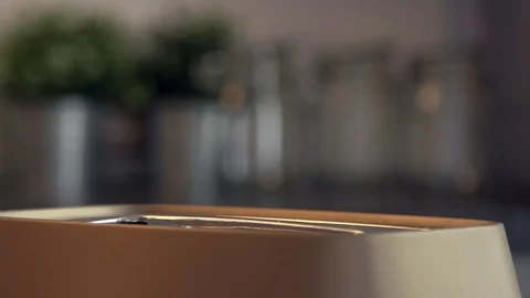 Roasted toast bread in slow motion Stock Footage 77076911