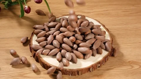 Roasted Torreya Grandis Nuts on Rustic Wood Slice Stock Footage 345130458