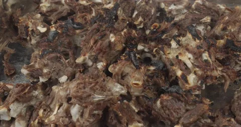 Roasted turkey bones for preparing a poultry stock 動画素材 164387353