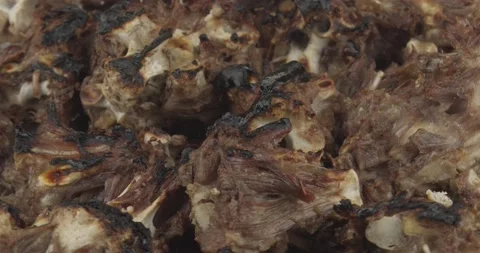 Roasted turkey bones for preparing a poultry stock Stock Footage 164389425