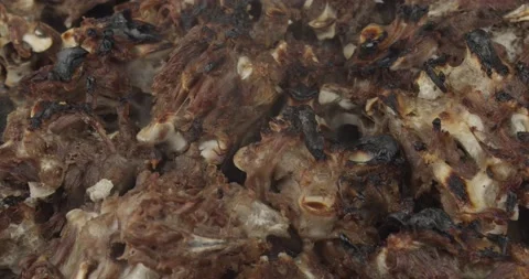 Roasted turkey bones for preparing a poultry stock Stock Footage 164390067