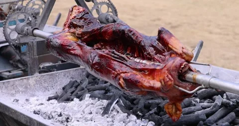 Roasted whole pig on fire. Grilled pig on skewer. Roasting pig on a spit Stock Footage 248481855