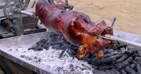 Roasted whole pig on fire. Grilled pig on skewer. Stock Footage 293669578
