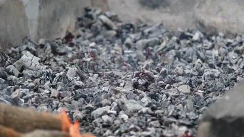 Roasted wood fire-1 Stock Footage 293950834