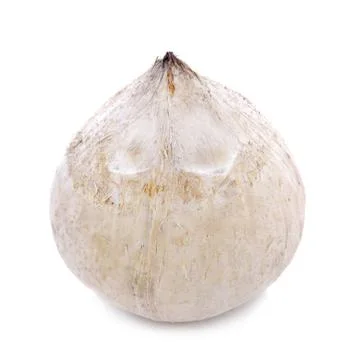 Roasted Young Coconut on white background Stock Photos