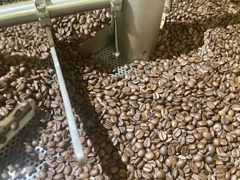 Roaster machine rotates to roast the coffee beans from green to brown color Stock Photos