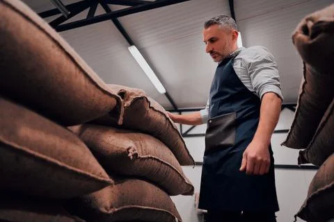 Roastery worker standing at pile of sacks with coffee beans and checking pack Stock Photos